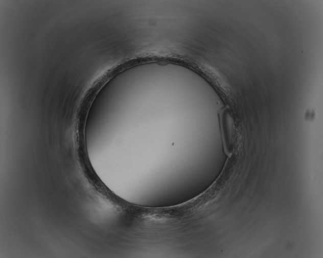 X0000089940680200707131454