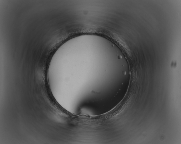 X0000089940681200707131454