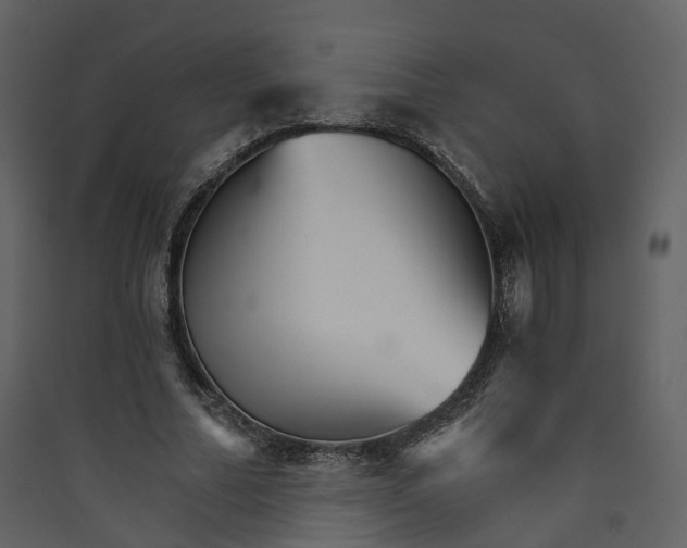 X0000089940682200707131454