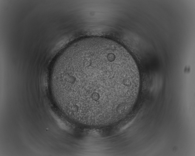 X0000089940683200707131454