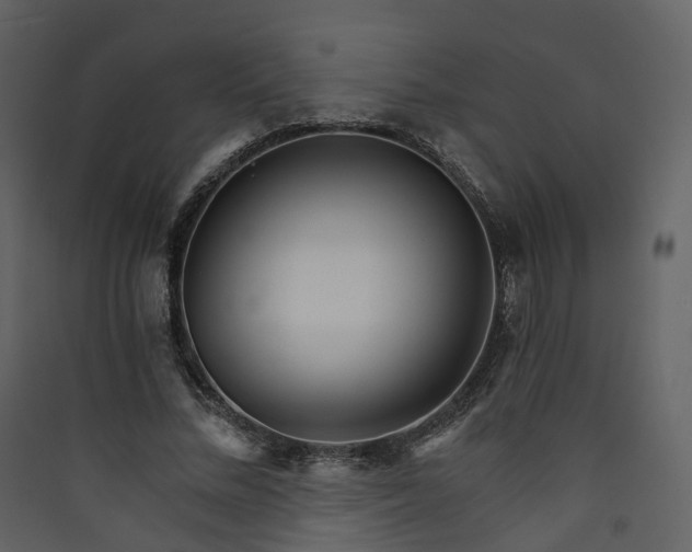 X0000089940684200707131454