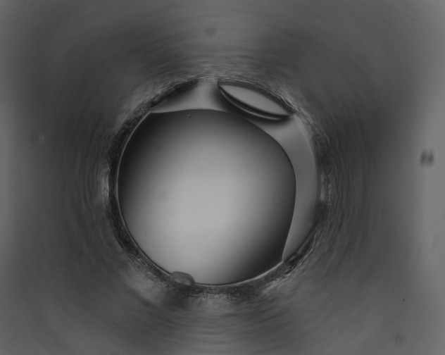 X0000089940685200707131453