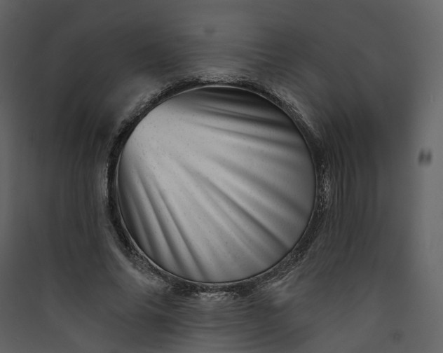 X0000089940686200707131453