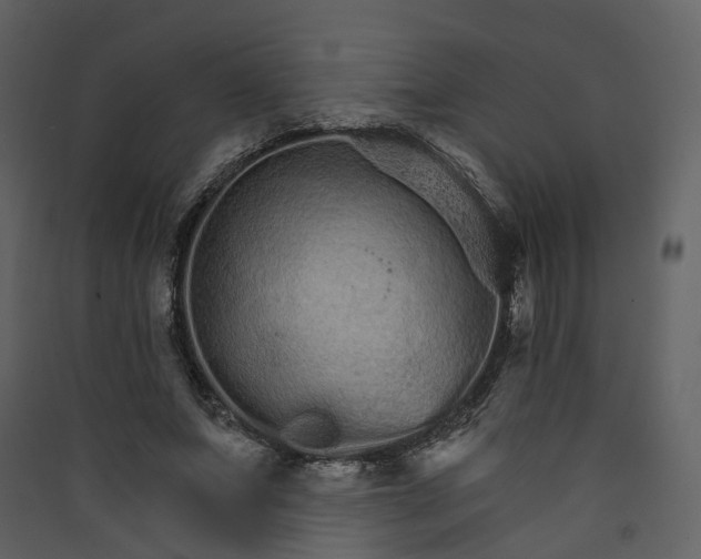 X0000089940687200707131453