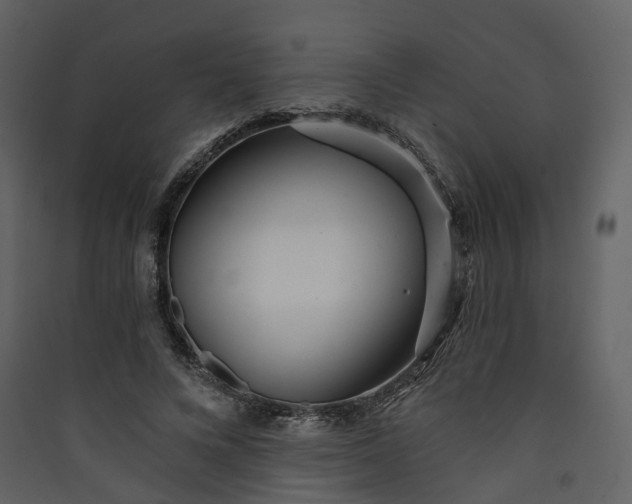 X0000089940688200707131453