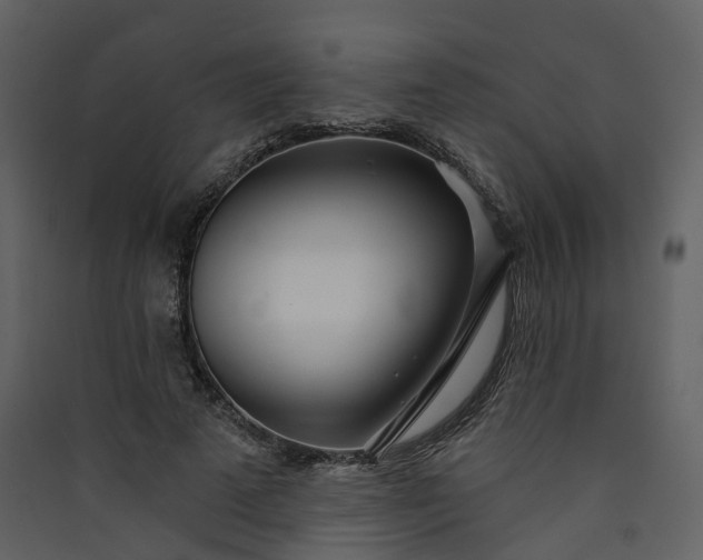 X0000089940689200707131453