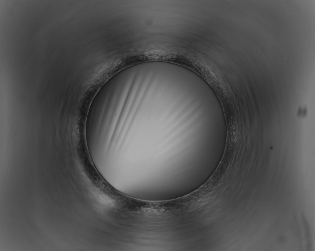 X0000089940690200707131453