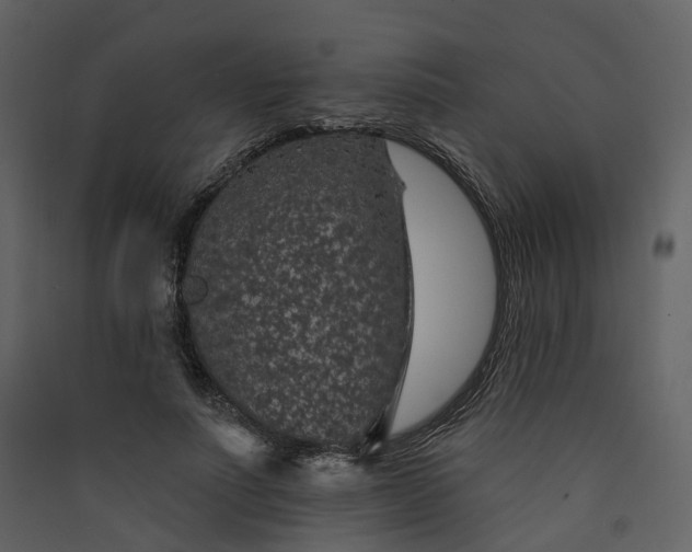 X0000089940691200707131453