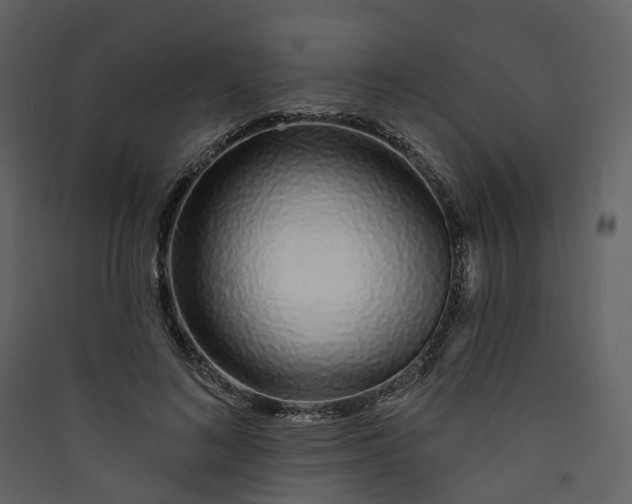 X0000089940692200707131453