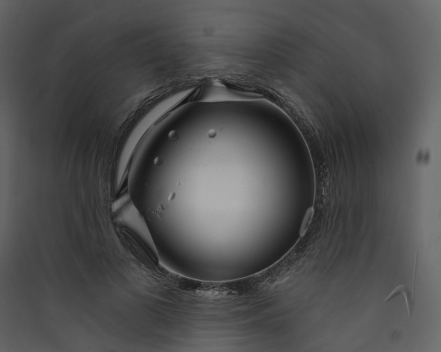 X0000089940693200707131453