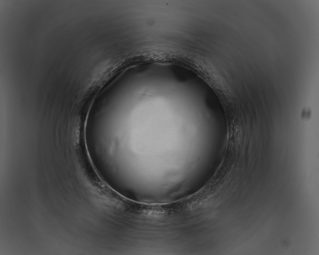 X0000089940694200707131453