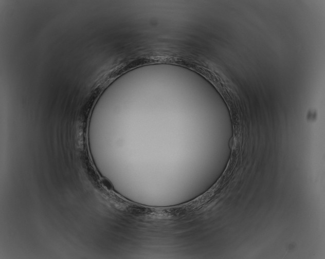 X0000089940696200707131453