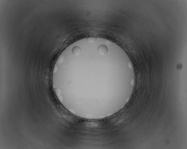 X0000089940698200707131453