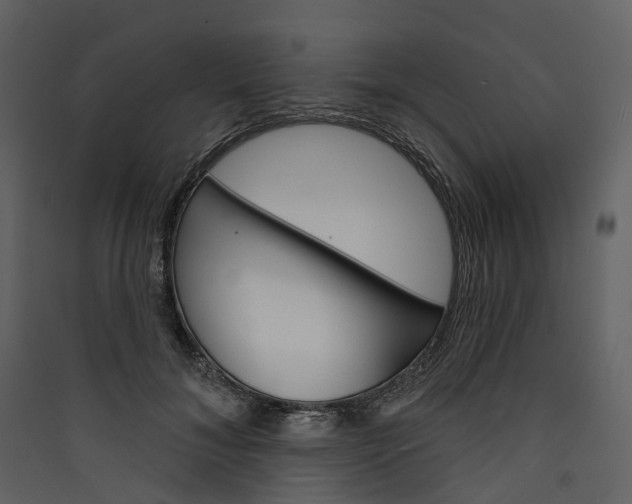 X0000089940700200707131453