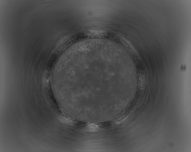 X0000089940701200707131453