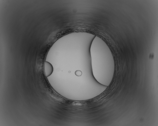 X0000089940706200707131453