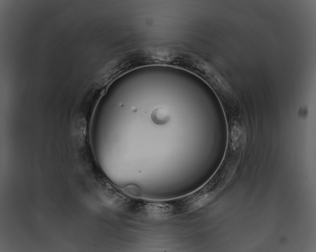 X0000089940707200707131453