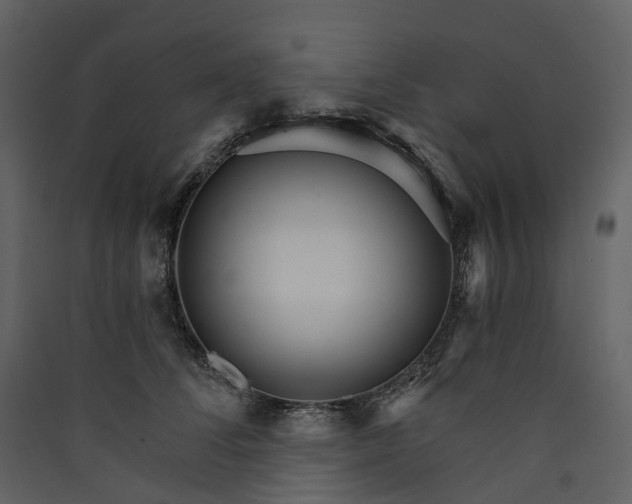 X0000089940708200707131453