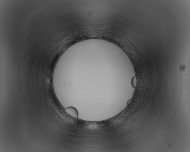 X0000089940710200707131453