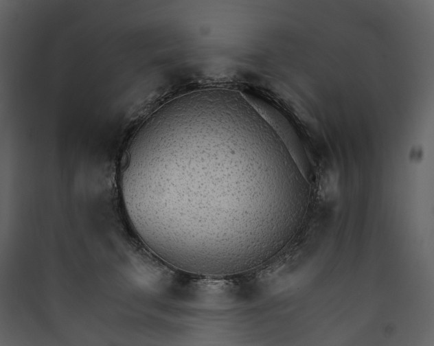 X0000089940711200707131453