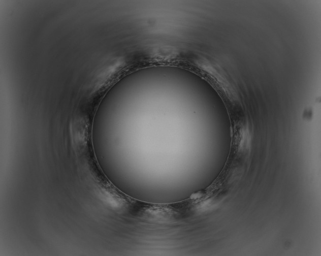 X0000089940712200707131453