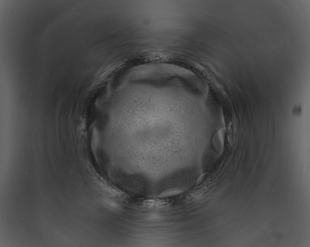 X0000089940714200707131453