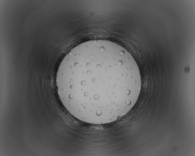 X0000089940715200707131453