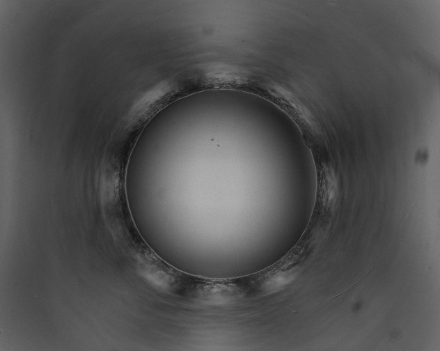 X0000089940716200707131453