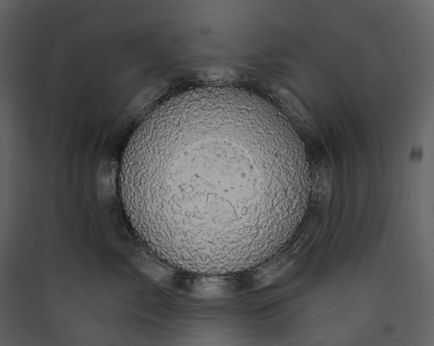 X0000089940717200707131453