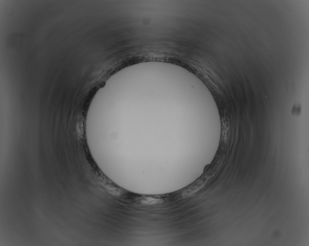 X0000089940718200707131453