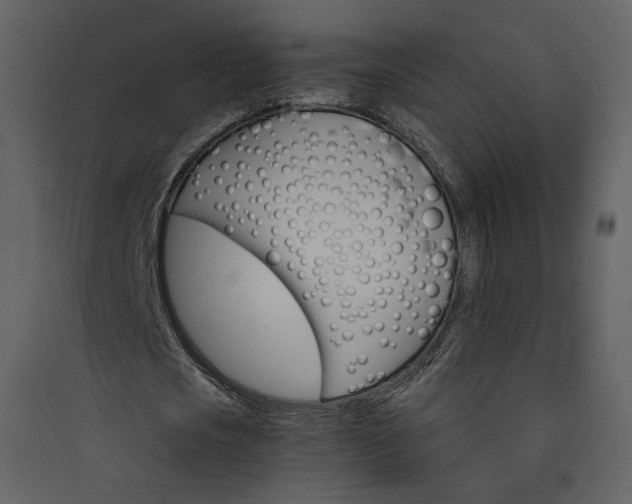 X0000089940721200707131452