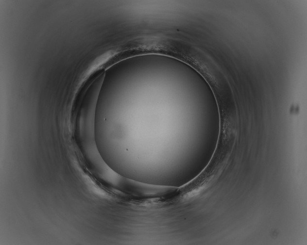 X0000089940722200707131452