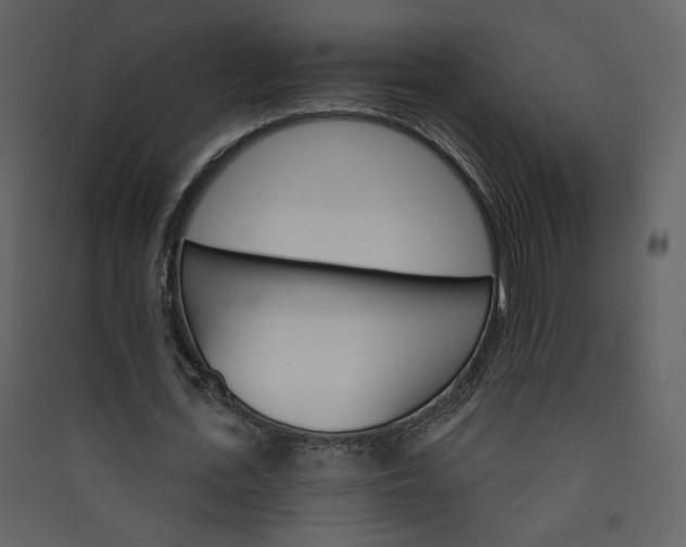 X0000089940723200707131452