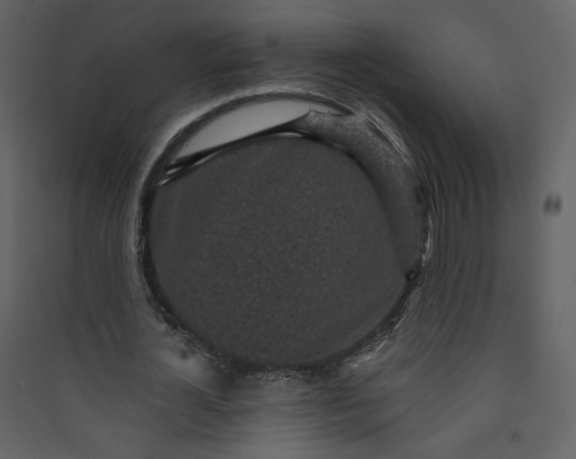 X0000089940724200707131452