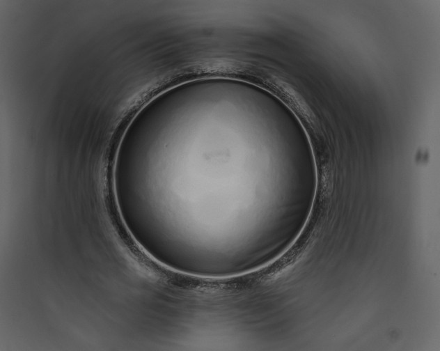 X0000089940725200707131453