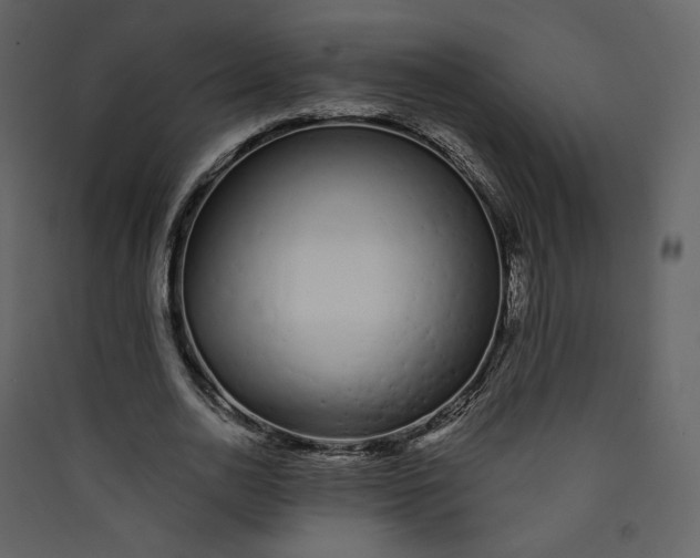 X0000089940726200707131453