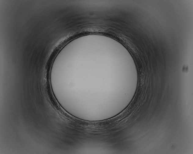 X0000089940727200707131453