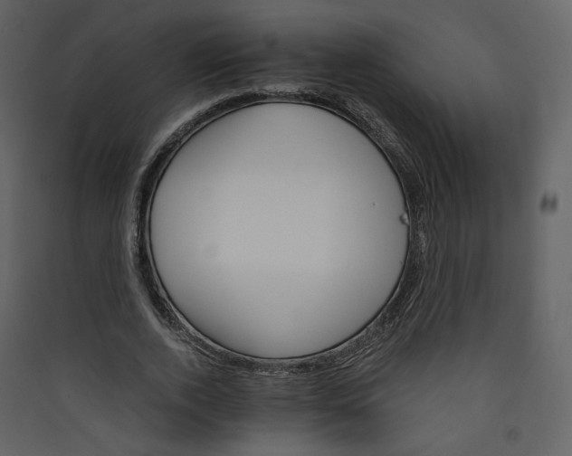 X0000089940728200707131453