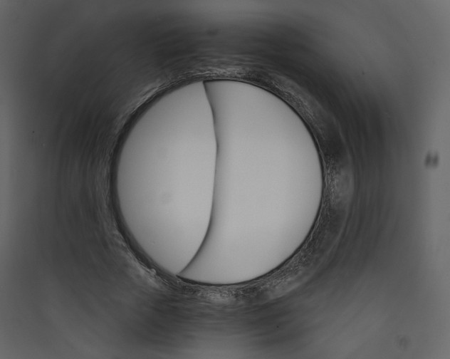 X0000089940729200707131453