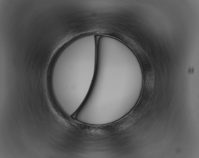 X0000089940730200707131453