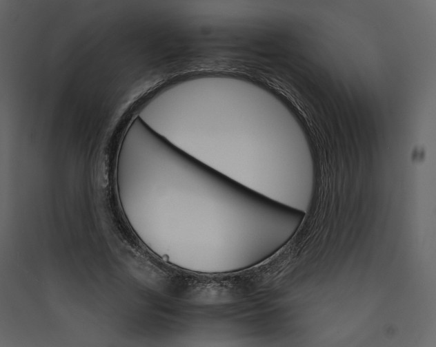 X0000089940731200707131453