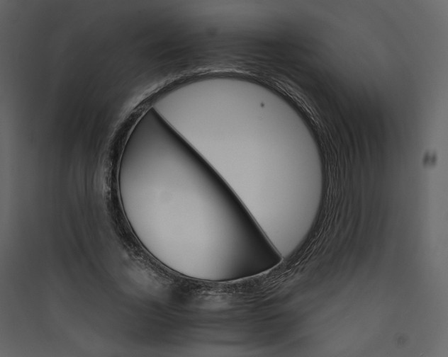 X0000089940732200707131453