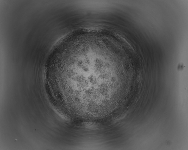 X0000089940733200707131453