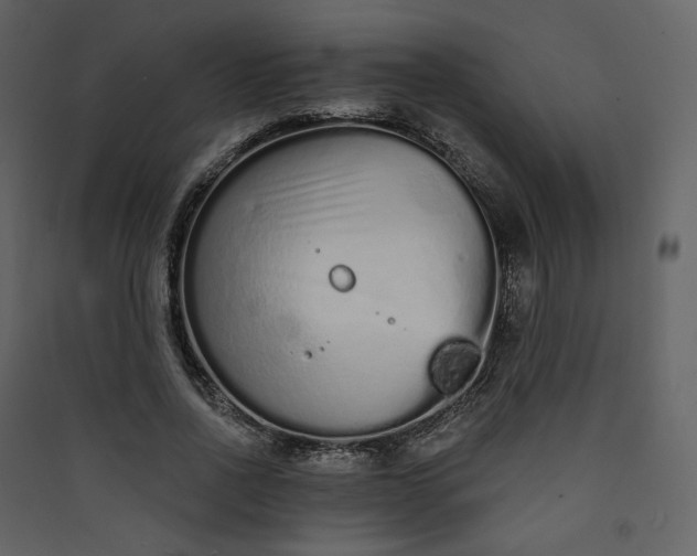 X0000089940734200707131453