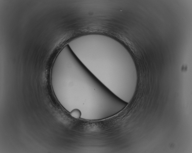 X0000089940735200707131453