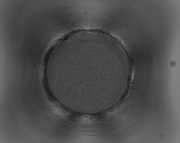 X0000089940736200707131453