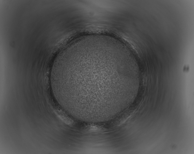 X0000089940737200707131453