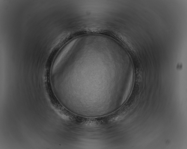 X0000089940738200707131453