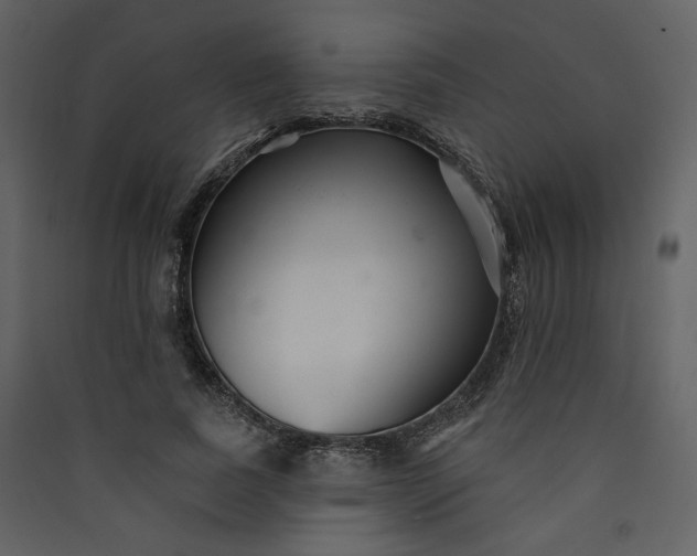 X0000089940739200707131453