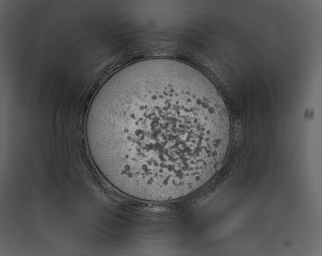 X0000089940741200707131453